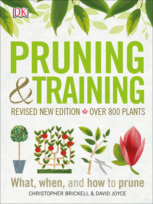 cover image of Pruning and Training, Revised New Edition